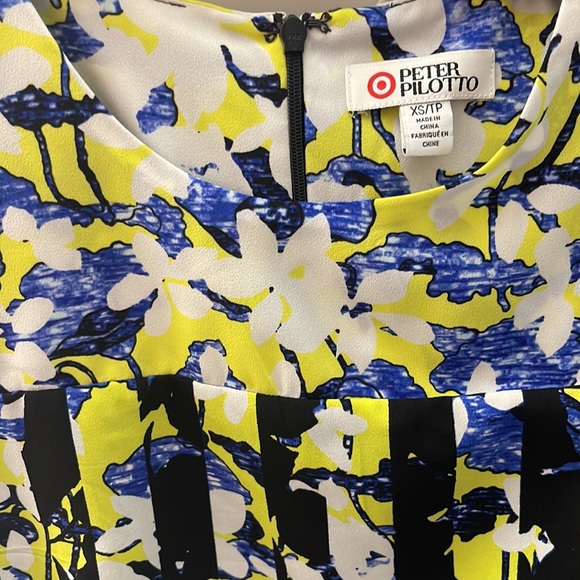 Target PETER PILOTTO for Floral Stripe VIBRANT Print Shift Dress - Picture 10 of 12